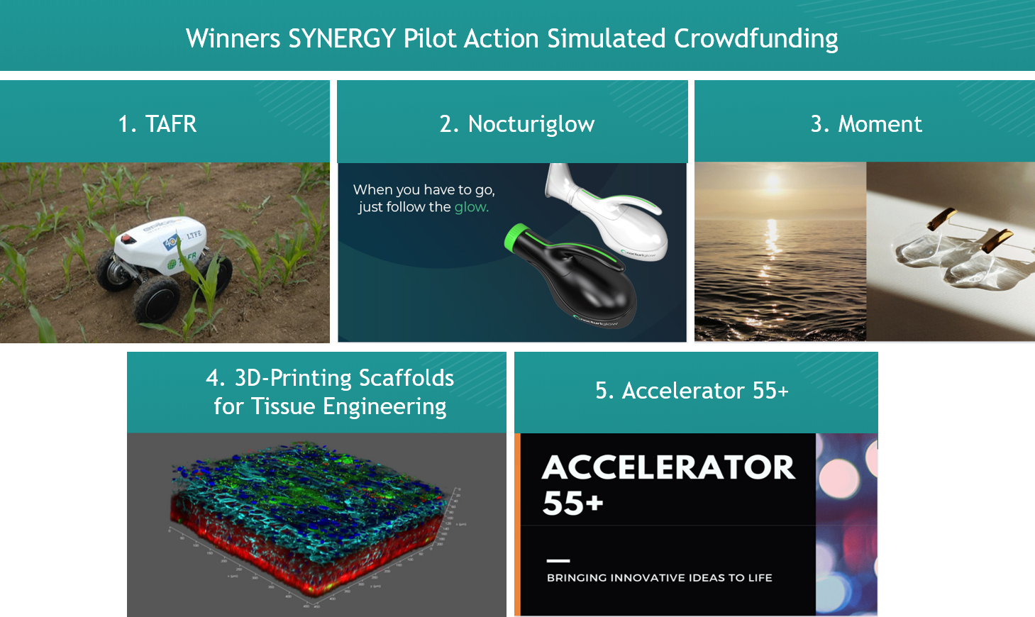 Winner Campaigns of the SYNERGY Pilot Action Simulated Crowdfunding © TAFR/Tao Tech LLC/Monika Šangulin/CC0/Simbioza Genesis social enterprise, adapted Winner Campaigns of the SYNERGY Pilot Action Simulated Crowdfunding © TAFR/Tao Tech LLC/Monika Šangulin/CC0/Simbioza Genesis social enterprise, adapted