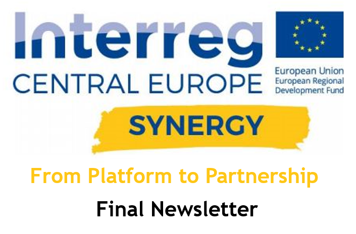 SYNERGY Final Newsletter; Image Source: SYNERGY Project 