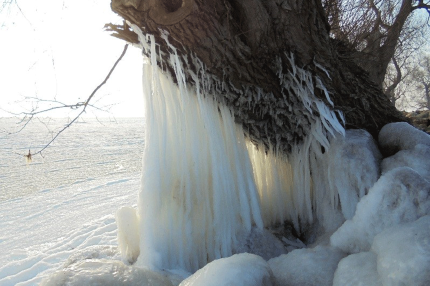 Giant icicles - Photo by Isa Pichert-Förster 