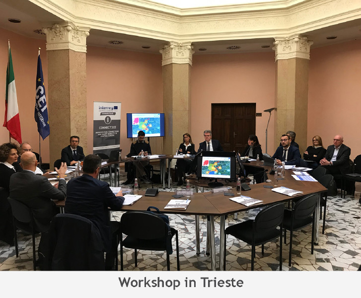 workshop-trieste.jpg 