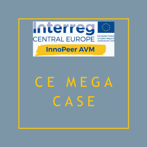 CE Mega Case