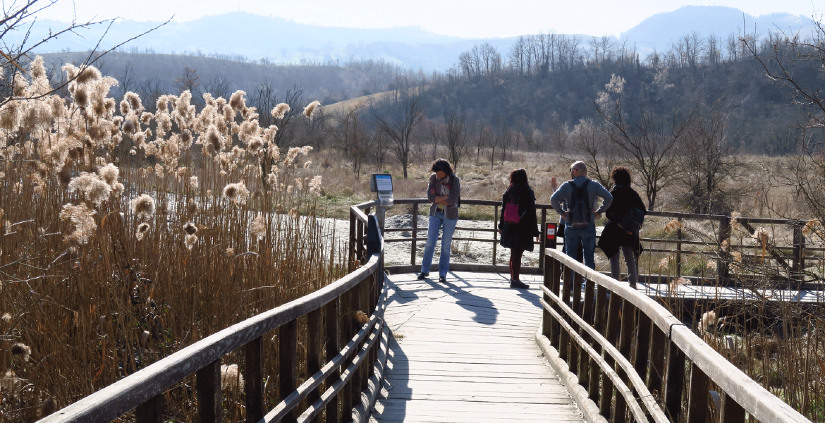 Visitors-at-Nirano-s-Mud-Vulcanoes.png © Visitors at Niranos Mud Vulcanoes - Photo by Emilia Romagna Region