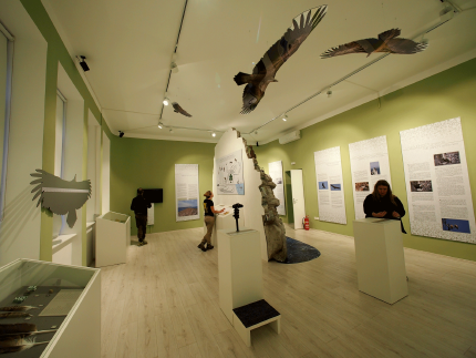Griffon Vulture Rehabilitation Centre Beli Griffon Vulture Rehabilitation Centre Beli