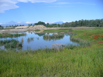 Naturalization of Germaire quarries 