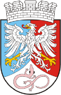 university university