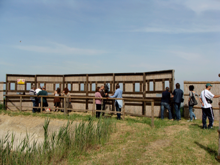 Saline Comacchio Birdwatching station Saline Comacchio Birdwatching station