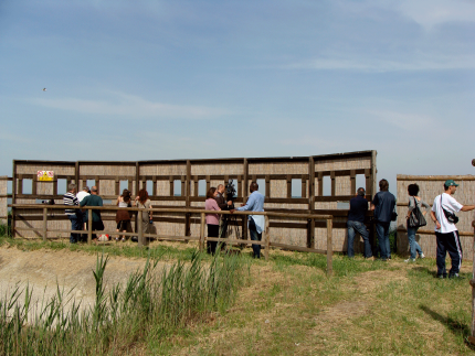 Saline Comacchio Birdwatching station 