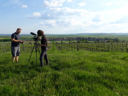 Filming Weinviertel 