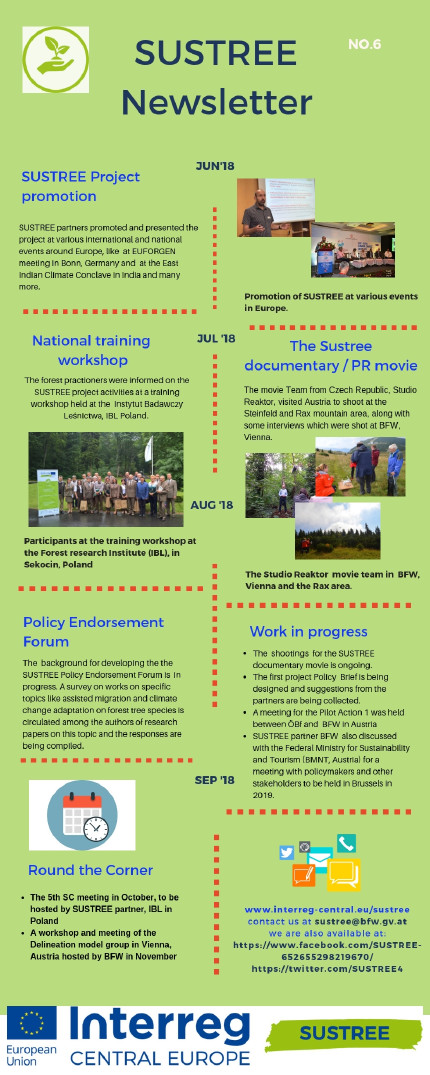 Newsletter number6 
