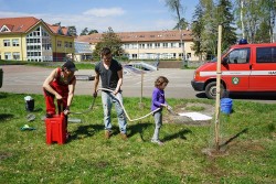 Dubnany tree watering 