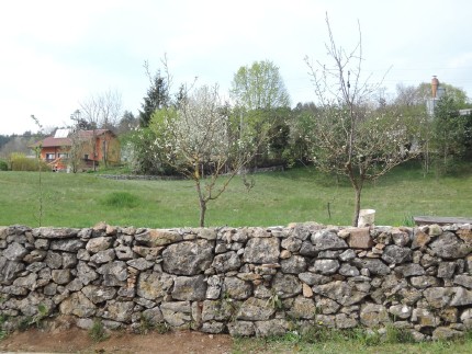 Dry Stone Walls 6 