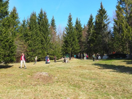 Meadow high in the mountains, where people can safely watch the bear 