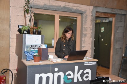 Mineka Mineka