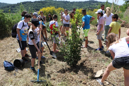 Planting-authoctonus-plants Planting-authoctonus-plants