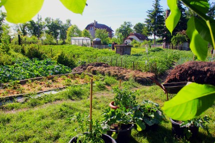 Community garden on former railway land in Bad Düben 