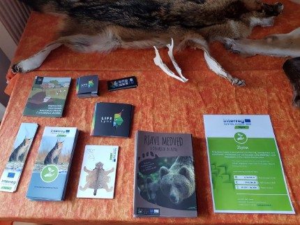 Information about large carnivores from different projects (3Lynx, LIFE Lynx and LIFE DINALP BEAR). Photo: Maja Sever, 3Lynx Information about large carnivores from different projects (3Lynx, LIFE Lynx and LIFE DINALP BEAR). Photo: Maja Sever, 3Lynx