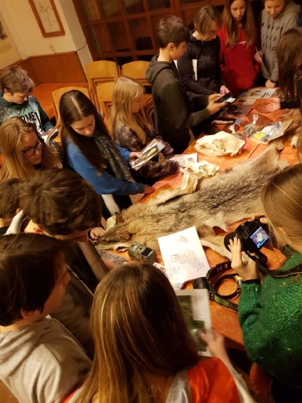 School children were very interested in large carnivores. Photo: Maja Sever, 3Lynx School children were very interested in large carnivores. Photo: Maja Sever, 3Lynx