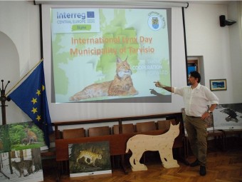 Lynx day 2019 in Tarvisio 