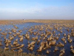 PA Nagykunsági river basin, Hungary 