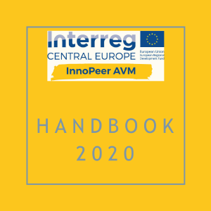 InnoPeer AVM - Handbook I 2020