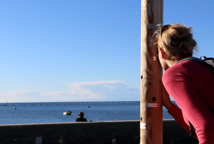 Watching the seascape Watching the seascape