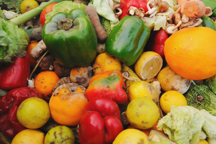 Food waste Food waste