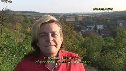 Film Kyjovsko Film Kyjovsko