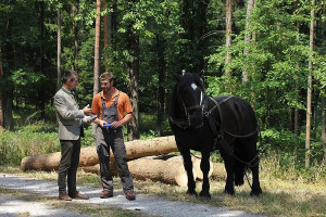 SUSTAINABLE MANAGEMENT OF MONASTICAL FORESTS