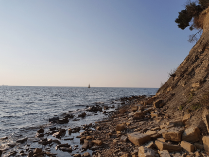 Flysch cliffs at the Ankaran Peninsula 