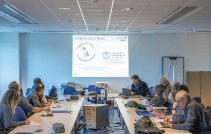 Monitoraggio di lince educazione Monitoraggio di lince educazione