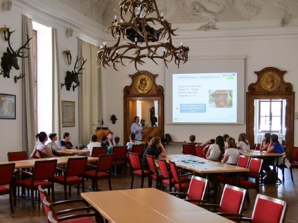 Präsentationen Präsentationen