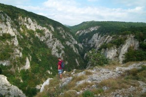 3rd Thematic Work Package: Carpathian Ecosystem Services Toolkit