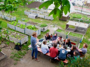 PEOPLE, PEAS AND PLACES: GARDENS FOR COMMUNITIES
