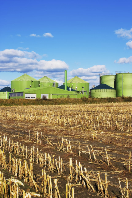 Malt production in a biogas plant 