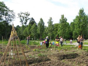 FOR LOCALS FROM LOCALS: EDIBLE TOWNS!