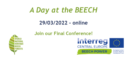 conference banner conference banner
