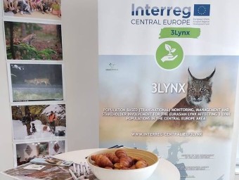 3Lynx project poster 3Lynx project poster