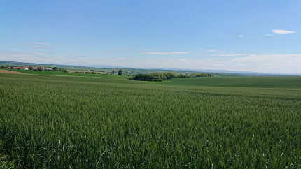 Unrealised Biocorridor Kyjovsko 