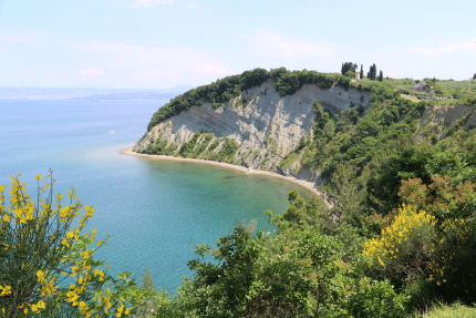 Cliffs at Strunjan Landscape Park Cliffs at Strunjan Landscape Park
