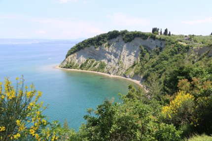 Cliffs at Strunjan Landscape Park 