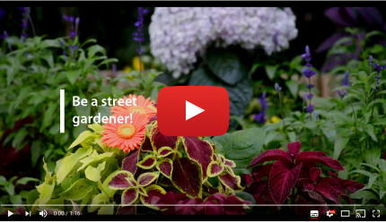 gardener video gardener video