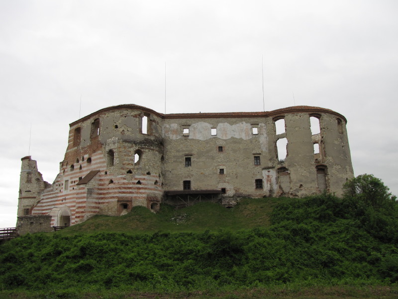 IMG-5178-1.JPG 