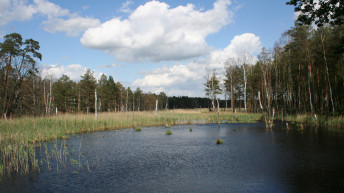 © Verein Dübener Heide e.V. 