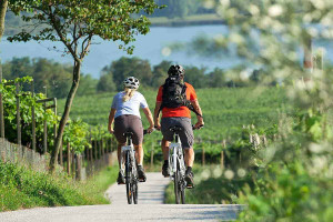 AGRICULTURAL PARKS: BARLEY, BEES AND BIKES