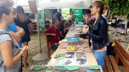 Bat Night 2018 Bat Night 2018