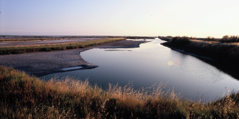 Regional Park of the Po Delta Regional Park of the Po Delta