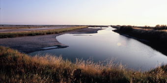 Regional Park of the Po Delta 