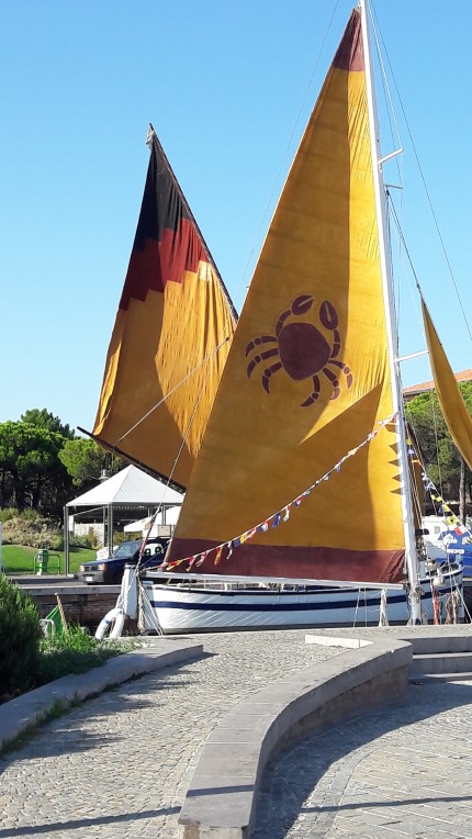 One of Cervia's trademarks: personalized sails One of Cervia's trademarks: personalized sails