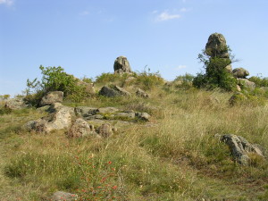 PANNONIAN LANDSCAPES BETWEEN WOODS AND WINE