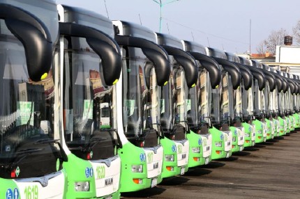buses3 buses3